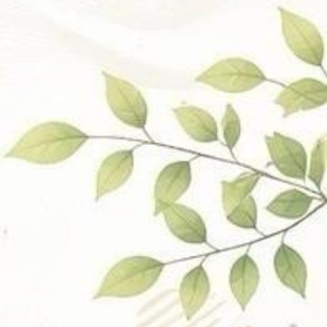 右上イラスト